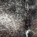 Closeup of this Tricolor Speckled Brazilian Cowhide, showing white with black and dark brown speckles and spots (BRSP3030)