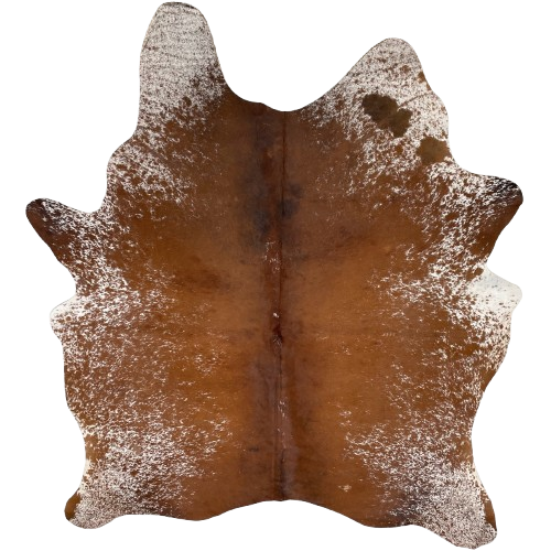 Reddish Brown and White Speckled Brazilian Cowhide: mostly solid reddish brown down the back, and it has white speckles and spots on the sides, belly, shanks, and part of the shoulder - 6'8" x 5'7" (BRSP3033)