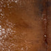 Closeup of this Speckled Brazilian Cowhide, showing mostly solid reddish brown down the back, and white speckles and spots on the left side (BRSP3033)