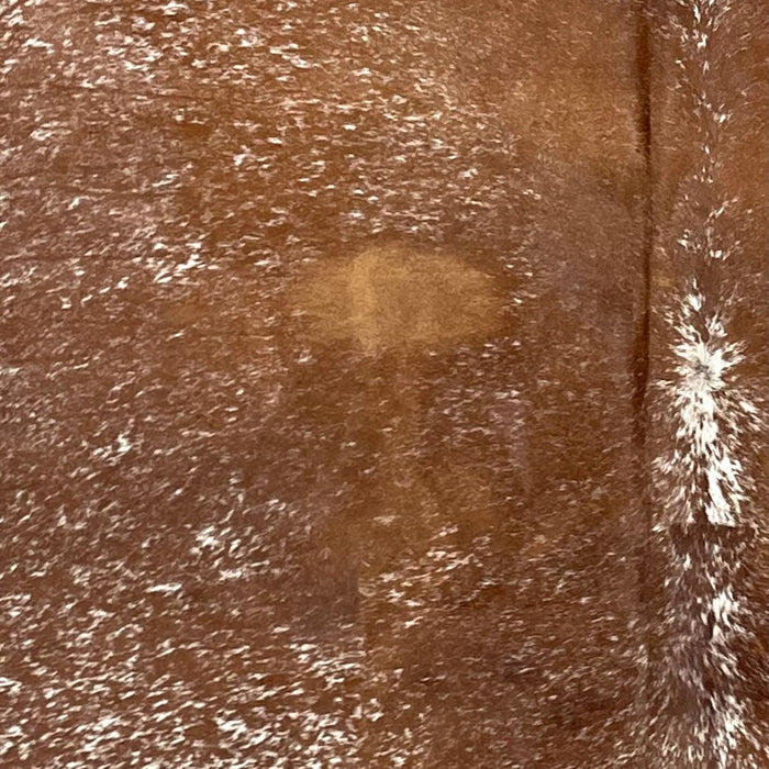 Closeup of this Speckled Brazilian Cowhide, showing reddish brown with white speckles (BRSP3034)