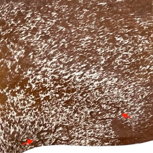 Closeup of this reddish brown and white Speckled Brazilian Cowhide, showing two brand marks on the left side of the butt  (BRSP3034)