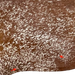 Closeup of this reddish brown and white Speckled Brazilian Cowhide, showing two brand marks on the left side of the butt  (BRSP3034)