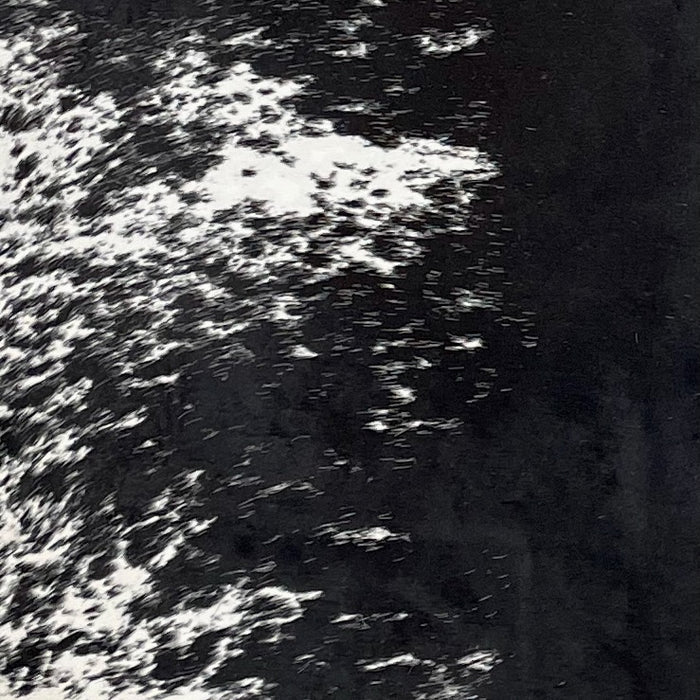 Closeup of this Large Speckled Brazilian Cowhide, showing white with black down the middle of the back, and black speckles and spots on the belly (BRSP3038)