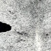 Closeup of this XL Speckled Brazilian Cowhide, showing white with black speckles and spots (BRSP3054)
