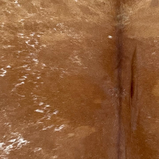 closeup of this Speckled Brazilian Cowhide, showing brown with white speckles (BRSP3064)