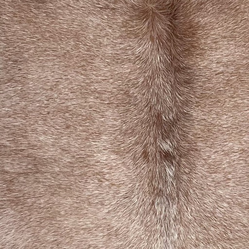 Closeup of this Large Speckled Brazilian Cowhide, showing reddish brown with fine, white speckles (BRSP3068)