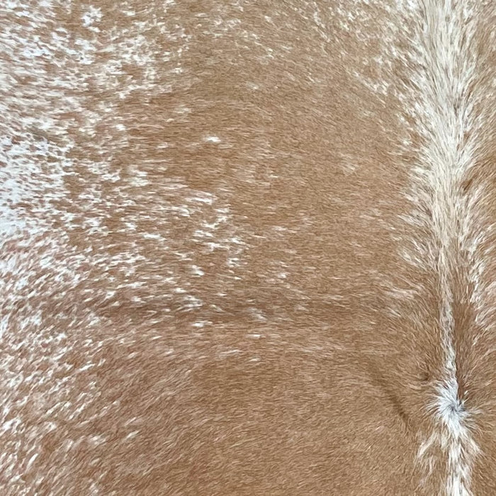 Closeup of this Speckled Brazilian Cowhide, showing white with brown speckles and spots (BRSP3070)