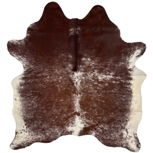 Dark Reddish Brown and White Speckled Brazilian Cowhide: long hair that is dark reddish brown with white speckles and spots, and off-white on the belly - 6'4" x 5'7" (BRSP3071)