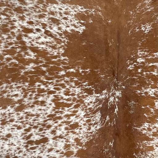 Closeup of this Speckled Brazilian Cowhide, showing white with brown speckles and spots (BRSP3073)