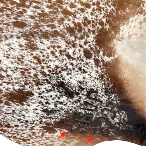 Closeup of this brown and white Speckled Brazilian Cowhide, showing two brand marks on the right side of the butt  (BRSP3073)