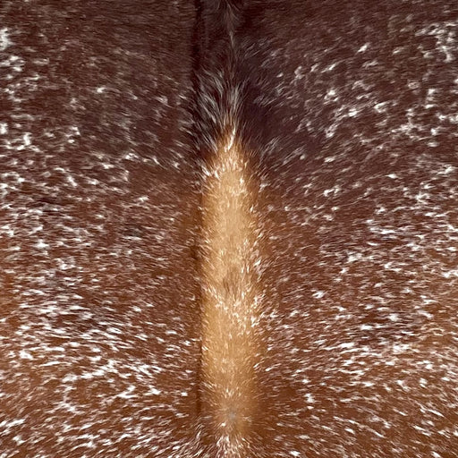 Closeup of this extra-large Speckled Brazilian Cowhide, showing brown with white speckles and spots, and caramel down part of the spine  (BRSP3083)