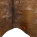 Closeup of this Speckled Brazilian Cowhide, showing one brand mark on the right side of the butt (BRSP3084)