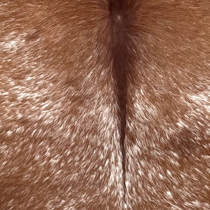Closeup of this Speckled Brazilian Cowhide, showing reddish brown with white speckles (BRSP3089)