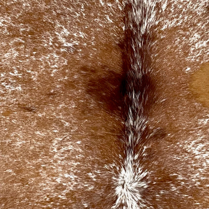 Closeup of this Speckled Brazilian Cowhide, showing white with reddish brown speckles and spots  (BRSP3114)
