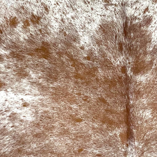 Closeup of this Speckled Brazilian Cowhide, showing white with reddish brown speckles and spots  (BRSP3130)