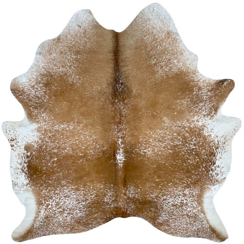 Brown and White Speckled Brazilian Cowhide: brown with white speckles and spots - 6'11" x 6'2" (BRSP3132)