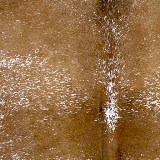 Closeup of this Speckled Brazilian Cowhide, showing brown with white speckles and spots (BRSP3132)