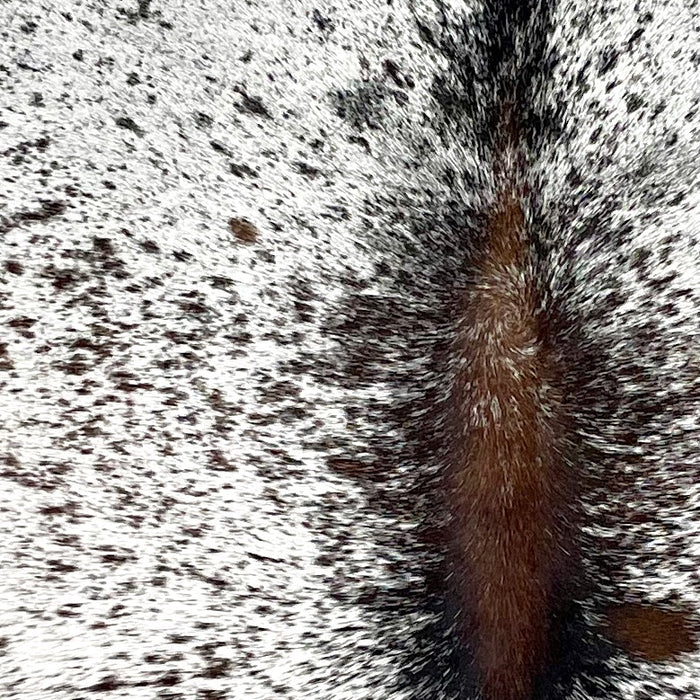 Closeup of this Tricolor Speckled Brazilian Cowhide, showing white with dark brown and black speckles and spots (BRSP3133)