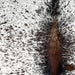 Closeup of this Tricolor Speckled Brazilian Cowhide, showing white with dark brown and black speckles and spots (BRSP3133)