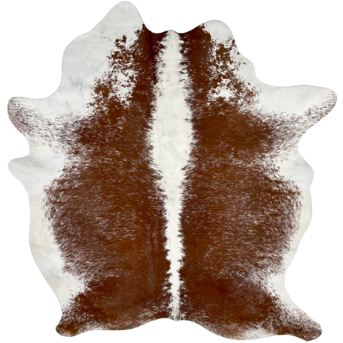 Brown and White Speckled Brazilian Cowhide: brown with white speckles down both side of the hide, and white down the middle and on the belly - 6'8" x 5'4" (BRSP3134)