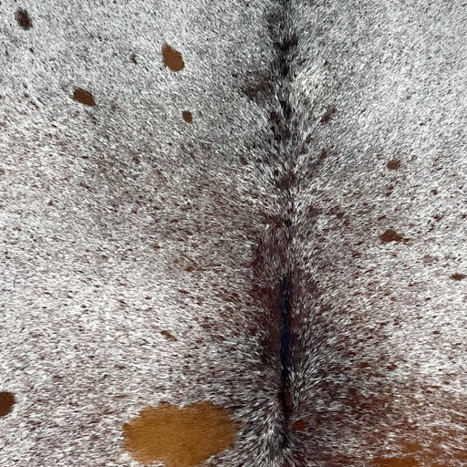 Closeup of this Tricolor Speckled Brazilian Cowhide, showing off-white with black, reddish brown, and blackish brown speckles and spots   (BRSP3143)