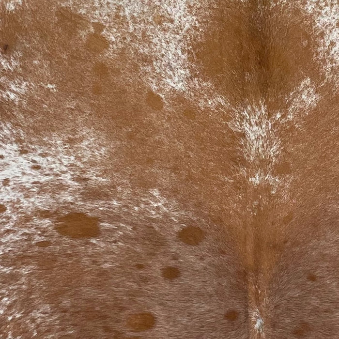 Closeup of this Large Speckled Brazilian Cowhide, showing reddish brown with fine, white speckles on the back, and white with reddish brown speckles and spots on the sides and shoulder (BRSP3144)