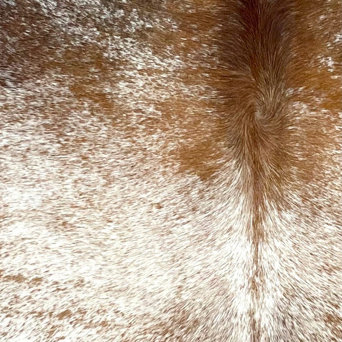 Closeup of this Tricolor Speckled Brazilian Cowhide, showing white with reddish brown speckles and reddish brown down the middle of the shoulder (BRSP3145)