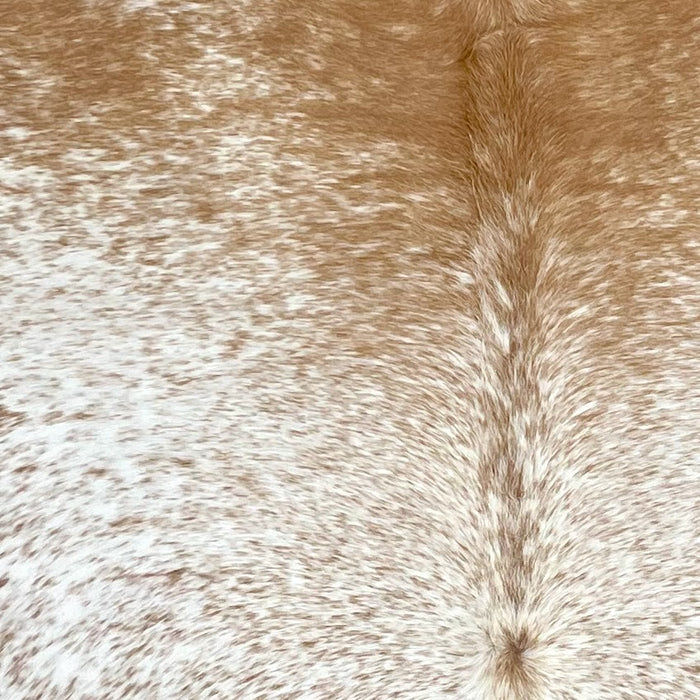 Closeup of this Speckled Brazilian Cowhide, showing white with caramel speckles and spots, and caramel with with speckles on the shoulder (BRSP3146)