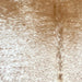 Closeup of this Speckled Brazilian Cowhide, showing white with caramel speckles and spots, and caramel with with speckles on the shoulder (BRSP3146)
