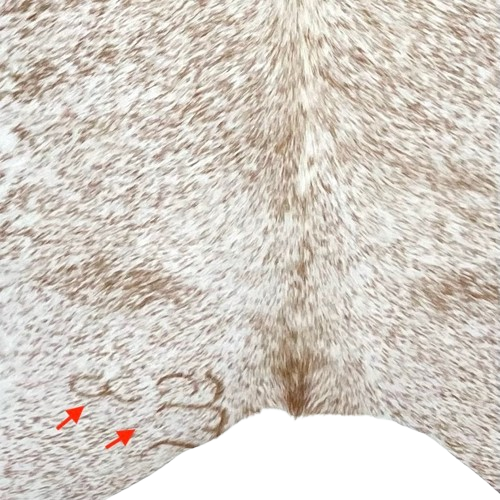 Closeup of this Caramel and White Speckled Brazilian Cowhide, showing two brand marks on the left side of the butt  (BRSP3146)