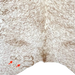 Closeup of this Caramel and White Speckled Brazilian Cowhide, showing two brand marks on the left side of the butt  (BRSP3146)