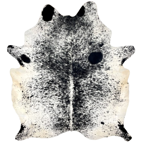 XL Black and White Speckled Brazilian Cowhide: white with black speckles and spots, and off-white on the belly and butt - 8'4" x 6'8" (BRSP3149)