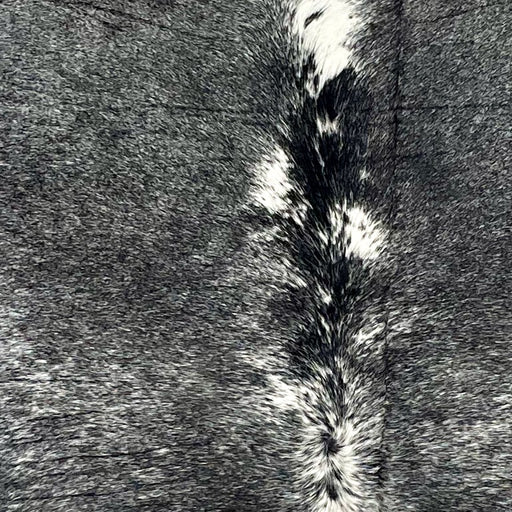 Closeup of this Speckled Brazilian Cowhide, showing black with white speckles and spots (BRSP3158)