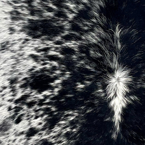 Closeup of this Speckled Brazilian Cowhide, showing white with black speckles and spots (BRSP3168)