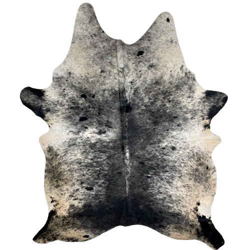 Large Black and White Speckled Brazilian Cowhide: white with black speckles and spots, and it has cream on the belly, butt, and hind shanks - 7'7" x 5'3" (BRSP3170)