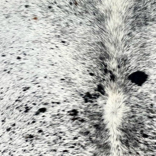 Closeup of this Speckled Brazilian Cowhide, showing white with black speckles and spots (BRSP3172)