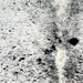Closeup of this Speckled Brazilian Cowhide, showing white with black speckles and spots (BRSP3172)