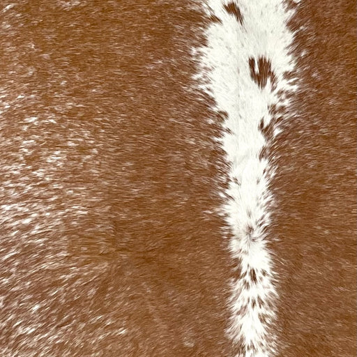 Closeup of this Speckled Brazilian Cowhide, showing brown with white speckles down both side and on the shanks, and white with brown speckles down the middle (BRSP3175)