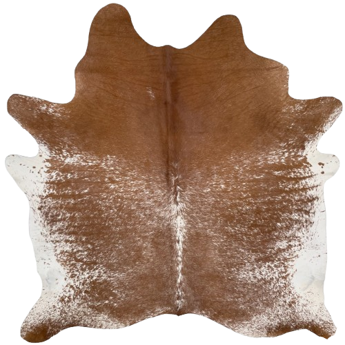 Brown and White Speckled Brazilian Cowhide: brown with white speckles and spots, and white with brown speckles on the belly - 6'9" x 5'11" (BRSP3176)