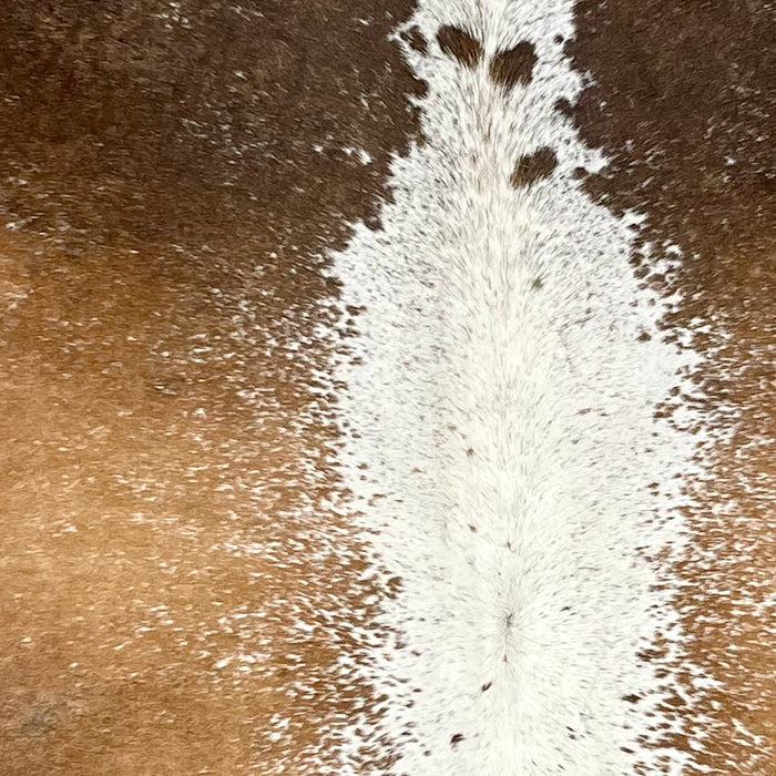 Closeup of this Tricolor Speckled Brazilian Cowhide, showing caramel and brown, with white speckles, down both sides, and white, with caramel and chocolate speckles, down the middle  (BRSP3177)