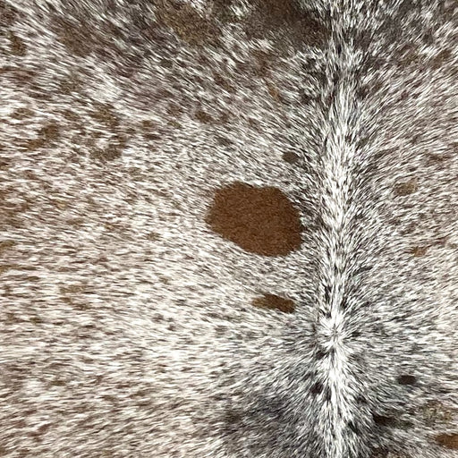 Closeup of this Tricolor Speckled Brazilian Cowhide, showing white with medium brown, dark brown, and black speckles and spots (BRSP3179)