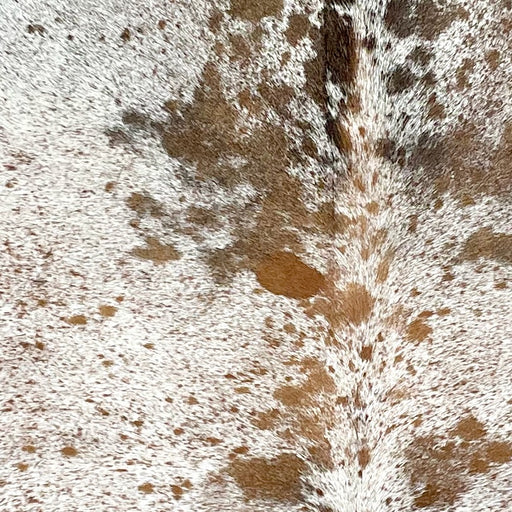 Closeup of this Large Speckled Brazilian Cowhide, showing white with brown speckles and spots, and some blackish brown speckles and spots on the shoulder (BRSP3181)