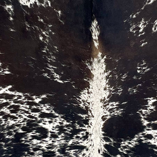 Closeup of this Dark Tricolor Speckled Brazilian Cowhide, showing white with black and dark brown speckles and spots, with some of the spots having a mix of black and dark brown (BRSP3191)