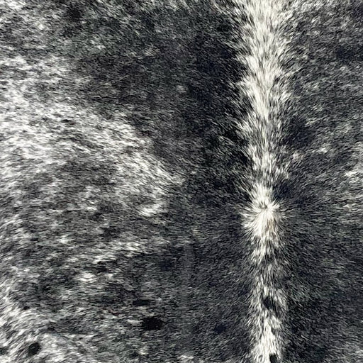 Closeup of this Speckled Brazilian Cowhide, showing white with black speckles and spots (BRSP3192)