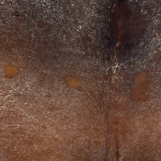 Closeup of this Speckled Brazilian Cowhide, showing reddish brown and dark brown with fine, white speckles (BRSP3196)