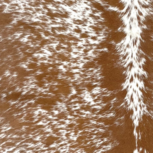 Closeup of this Speckled Brazilian Cowhide, showing white with brown speckles and spots (BRSP3197)