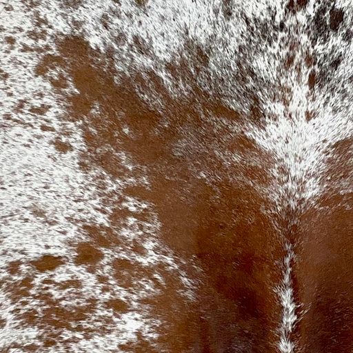 Closeup of this Speckled Brazilian Cowhide, showing white with dark reddish brown speckles and spots  (BRSP3198)
