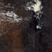 Closeup of this Speckled Brazilian Cowhide, showing a mix of dark brown and dark golden brown with white speckles and spots (BRSP3199)