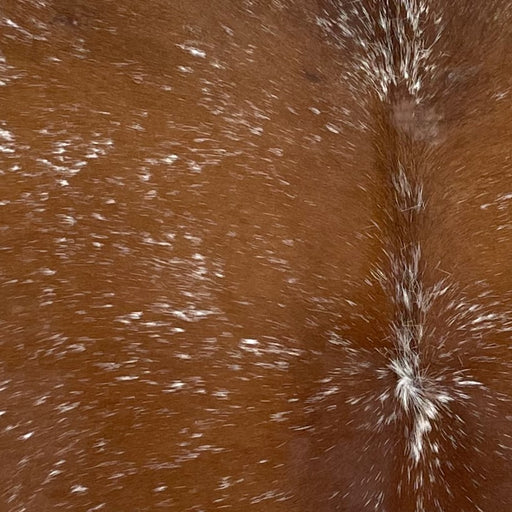 Closeup of this Speckled Brazilian Cowhide, showing reddish brown with white speckles and spots  (BRSP3201)