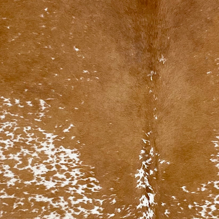 Closeup of this Speckled Brazilian Cowhide, showing white with caramel speckles and spots, and mostly solid caramel on the shoulder and down the  middle (BRSP3204)
